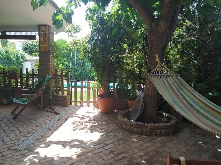 Dormir Entre Limones, Casa De Invitados En Vivienda Familiar 도스헤르마나스 외부 사진